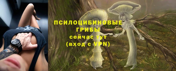 винт Куйбышев