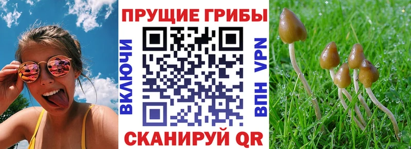 Купить  Советский  Галлюциногенные грибы мухоморы 